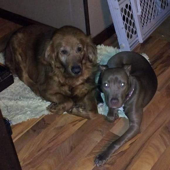 Profile Picture of Barb Auberg (@barbaraauberg) on Poshmark