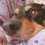 Profile Picture of jade_krause (@jade_krause) on Instagram