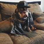 Profile Picture of Eric Thomas (@thereal_tombrady) on Instagram