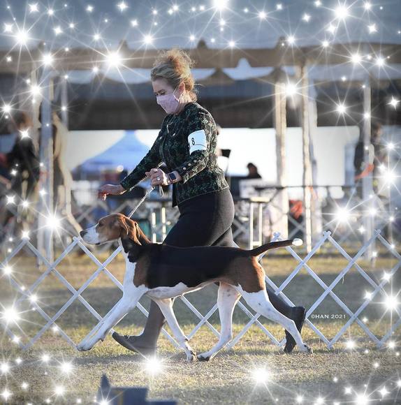 Profile Picture of Nancy Winton (@a1animal) on Poshmark