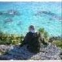 Profile Picture of Andrew Cardillo (@andrew-cardillo) on Quora