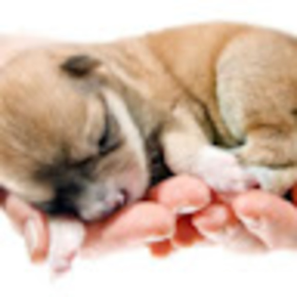 Profile Picture of Rayleigh Sparks (@rsparks24) on Poshmark