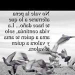 Profile Picture of Joshua (@joshuacarballo116) on Instagram