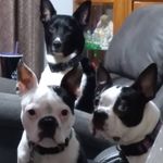 Profile Picture of Brian Winkle (@brian.winkle.73) on Instagram