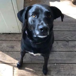 Profile Picture of Paula LeGrand (@paula.legrand.10) on Facebook