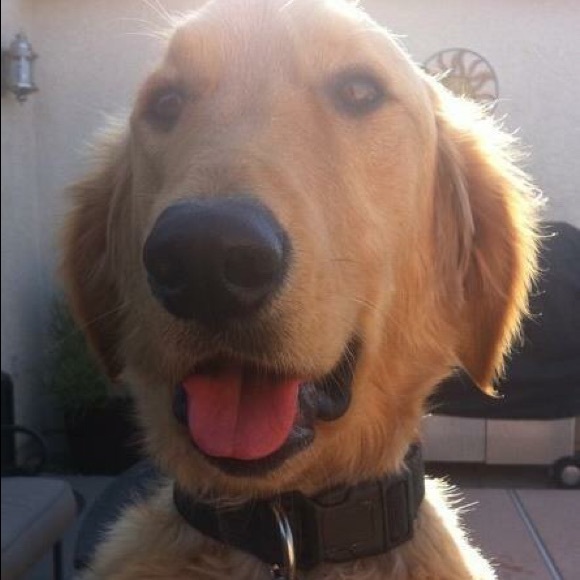 Profile Picture of Kimberly Pedigo (@kfiles880) on Poshmark