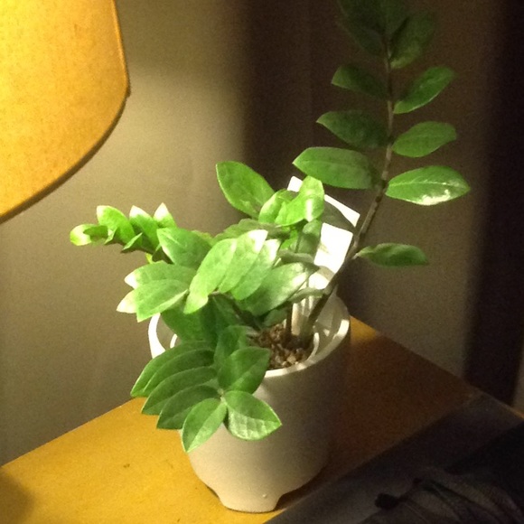 Profile Picture of M Fowler (@highqualgear) on Poshmark