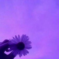 Profile Picture of Lilac  (@lilac-502) on Quora