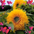 Mary Anna Barber - Facebook Profile Picture of Mary Anna Barber (@Mary-Anna-Barber) on Facebook