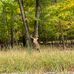 Profile Picture of Linda Michelle Kratz (@Linda-Michelle-Kratz) on Facebook