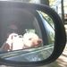 Profile Picture of Jennifer Allen Daniszewski (@jdaniszewski) on Pinterest