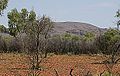 Profile Picture of Central Mount Stuarton Wikipedia