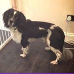 Profile Picture of Pamela Graham Mullen (@pamelagrahammullen) on Instagram