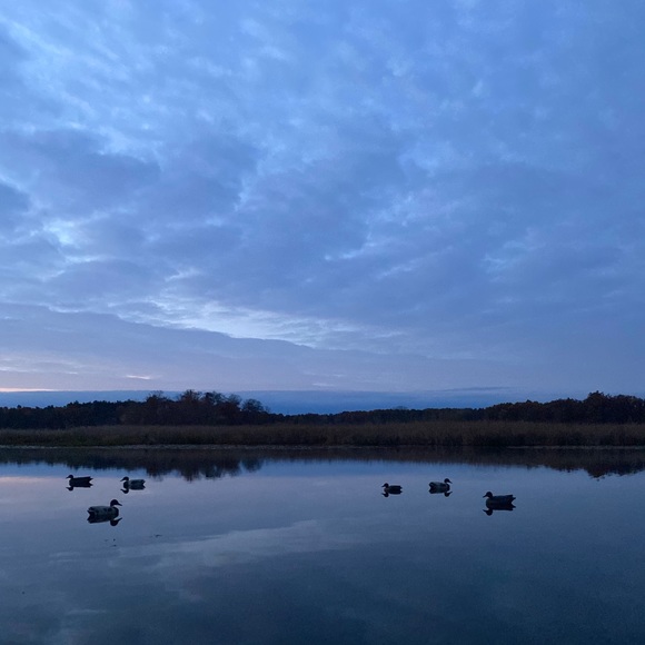 Profile Picture of Marcus Pahl (@marcuspahl) on Poshmark