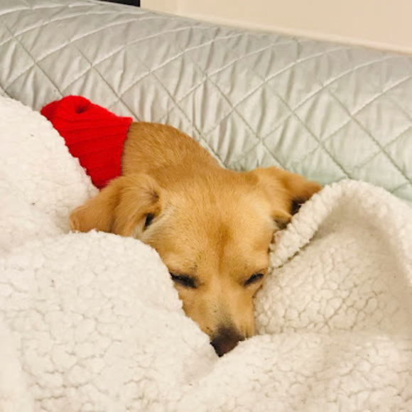 Profile Picture of Mabel Shyu (@mabelzxu0520) on Poshmark