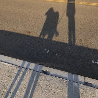 Profile Picture of Ron Fraser (@webhead9) on Twitter