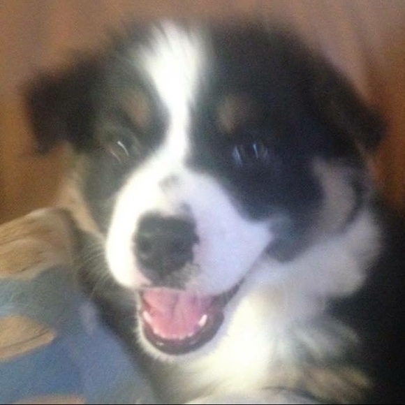 Profile Picture of Shawna Dennis (@maxwil) on Poshmark