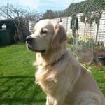 Profile Picture of Geraldine Foster (@gelfoster) on Instagram