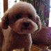Profile Picture of Josephine Yeh (@Josephine-Yeh) on Facebook