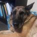 Profile Picture of Sean Jacobsen (@sean.jacobsen.31) on Facebook