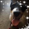 Profile Picture of Keith Henshaw (@@keithhenshaw) on Tiktok