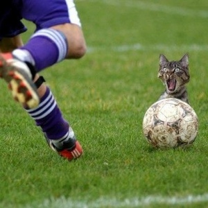 Profile Picture of Amber Everlife (@323588782) on Myspace