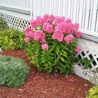 Profile Picture of Monique Lagace (@monique.lagace.1) on Facebook