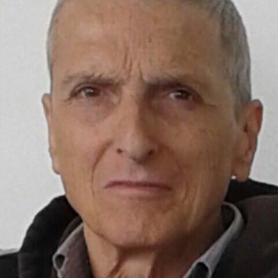Profile Picture of Maurizio Bertolini (@mauribri55) on Twitter