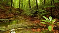 Profile Picture of Silkosiya Reserveon Wikipedia