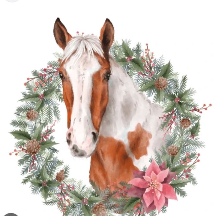 Profile Picture of Evelyngroundtree (@groundtrxse) on Tiktok