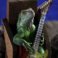 Profile Picture of Vito Di Tocco (@vditocco) on Pinterest