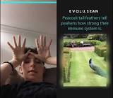 Profile Picture of   geenwereldkind... (@geenwereldkind) on Tiktok