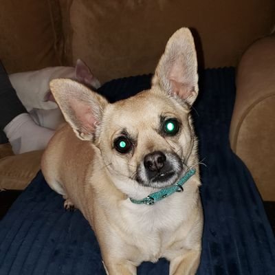 Profile Picture of Mike Hemler (@HemlerMike) on Twitter