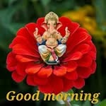 Profile Picture of Prashant prasad (@prashantprasad1) on Instagram