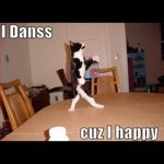 Profile Picture of  (@sallins) on Instagram