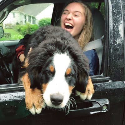 Profile Picture of Kate Rasmussen (@katerasmussen_) on Twitter