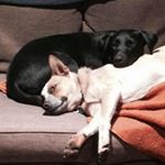 Profile Picture of John Milroy (@johnmilroy) on Instagram