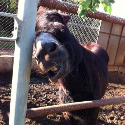 *Cotsios Solo* - Twitter Profile Picture of *Cotsios Solo* (@JoHeyman) on Twitter