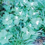 Profile Picture of jesse-may blythe (@jessemay79) on Instagram