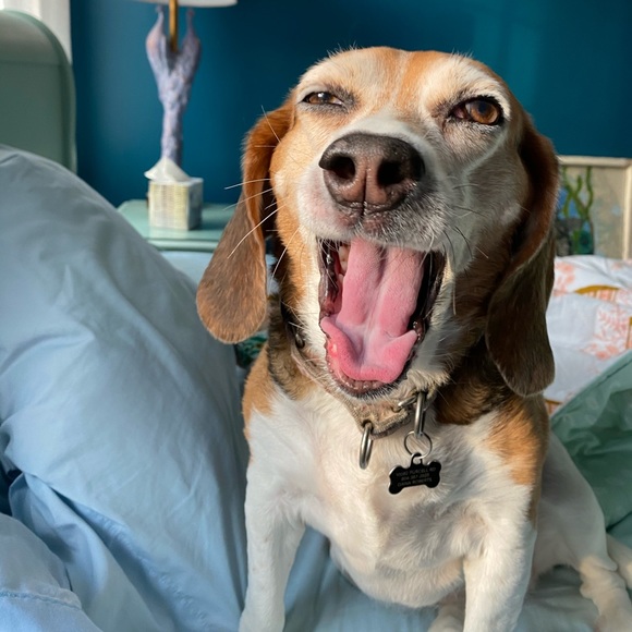 Profile Picture of Dana Roberts (@fishindlr) on Poshmark