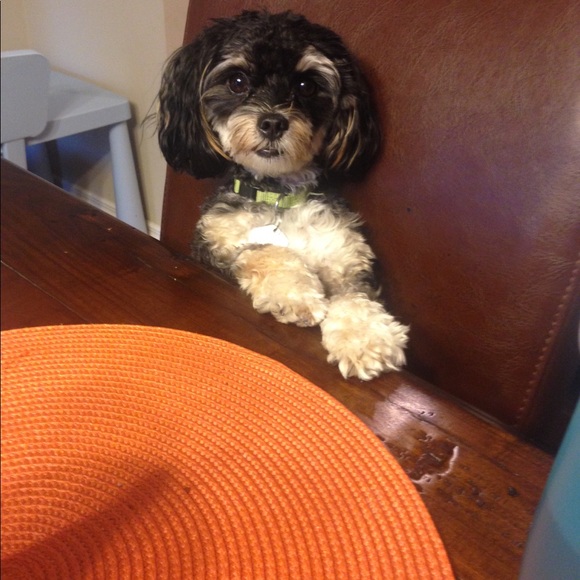 Profile Picture of Deanna Brommeland (@d_brommeland) on Poshmark