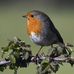 Profile Picture of Paul Mulhern (@paul.mulhern.3517) on Facebook