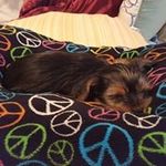 Profile Picture of Kimberly Guess (@kimberlyguess) on Instagram