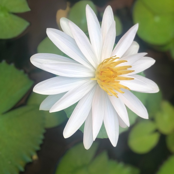 Profile Picture of Janine Battrick (@timetofashion) on Poshmark