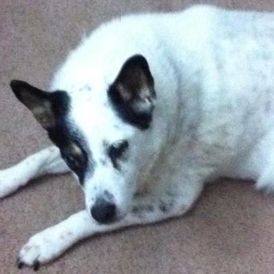 Ben Hammons - Twitter Profile Picture of Ben Hammons (@TexSR_Ben) on Twitter