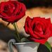 Profile Picture of Inam Ahmad (@inam.ahmad.7860) on Facebook