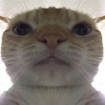 Profile Picture of Noah Bladecki (@noah.blade1) on Instagram