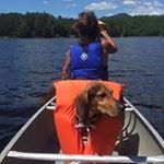 Profile Picture of Kathy Kearns (@kearns8418) on Instagram