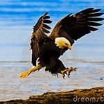 Profile Picture of Kevin Bronner (@kevin.bronner) on Instagram