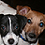 Profile Picture of James Godwin (@james/jag49) on Flickr